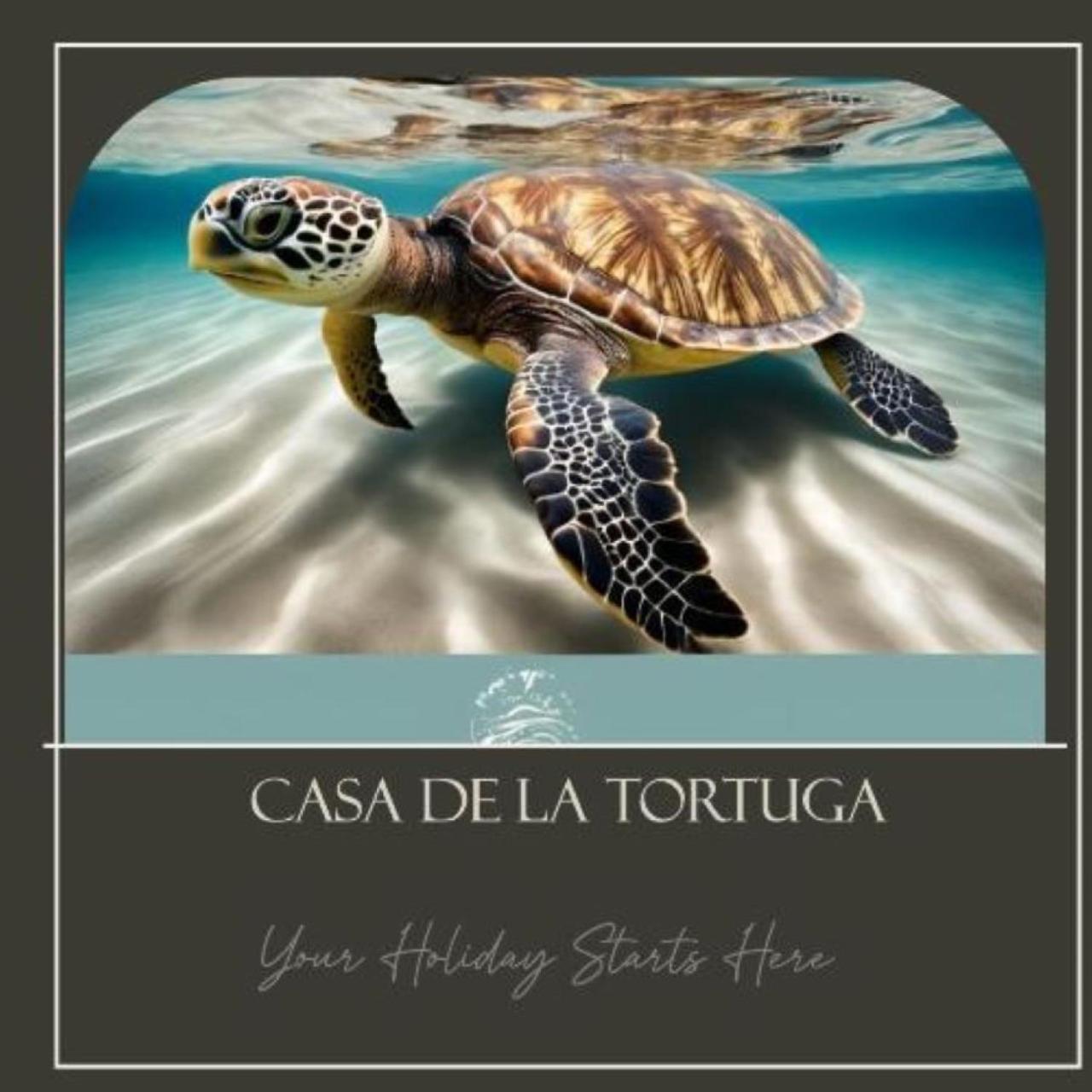 Apartamento Casa De La Tortuga